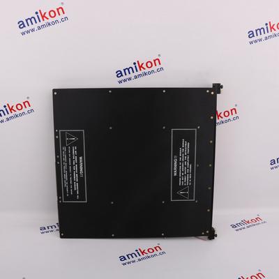 TRICONEX 3501 Distributed Control System (DCS)  | sales2@amikon.cn 